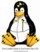 penguin1.jpg